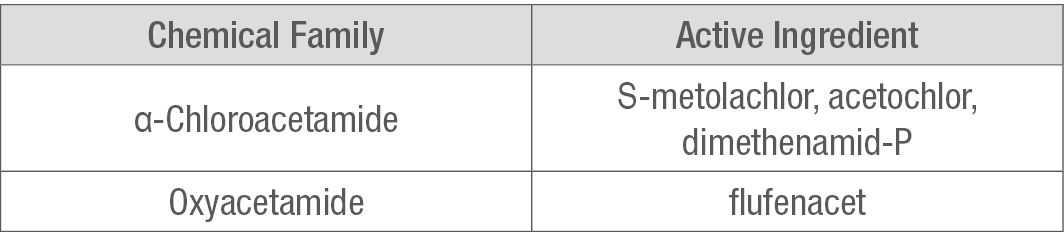 Very Long Chain Fatty Acid Inhibitors 